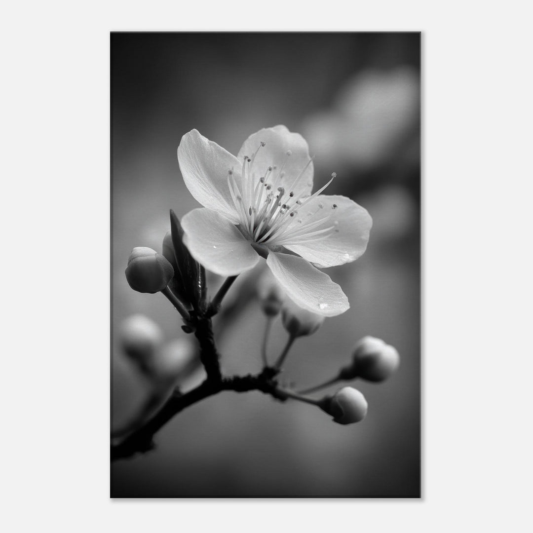 0004fdab-4a57-4cc2-bcd0-f03a7db10327