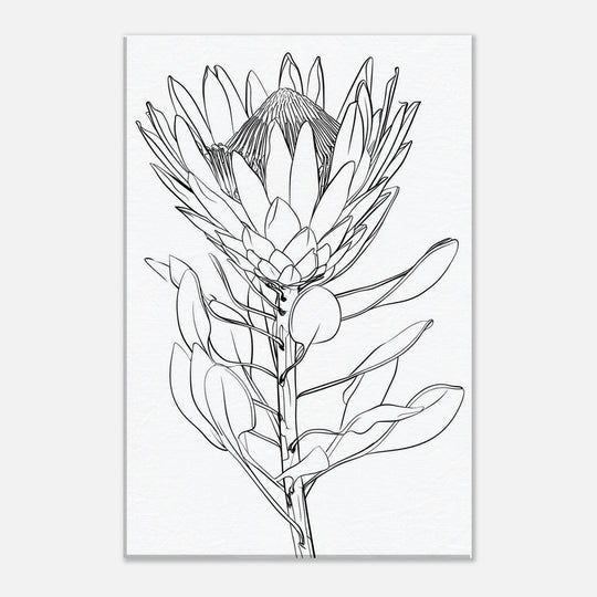 009edaef-990b-4b0b-b0df-80b4829ef2cc