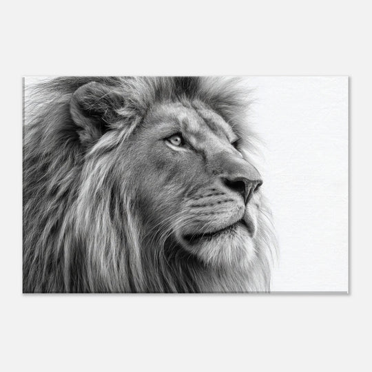 00f466d8-5c51-47b4-9c36-a81604c8e407