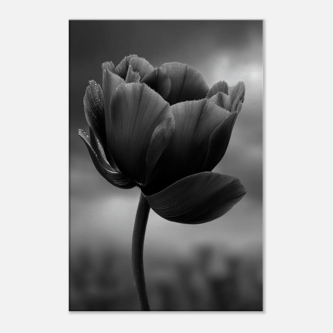 012c65d2-5e3f-4c59-8522-479106d4e596