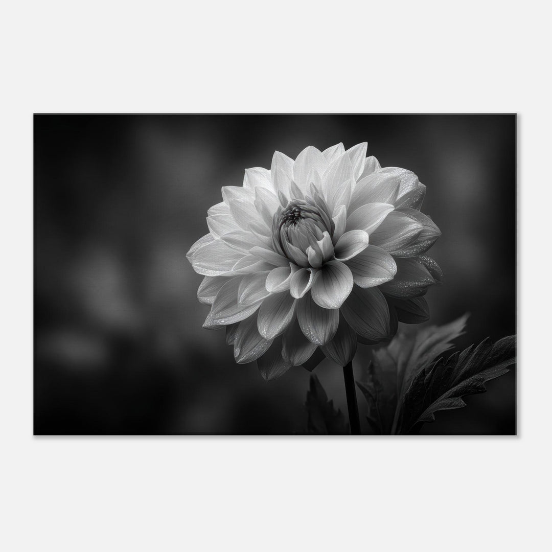 019a0c1f-90a8-440f-9ce6-a1d5b7623ac4