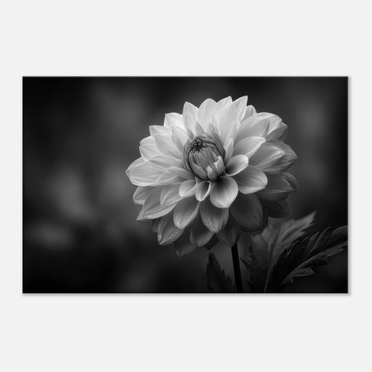 019a0c1f-90a8-440f-9ce6-a1d5b7623ac4