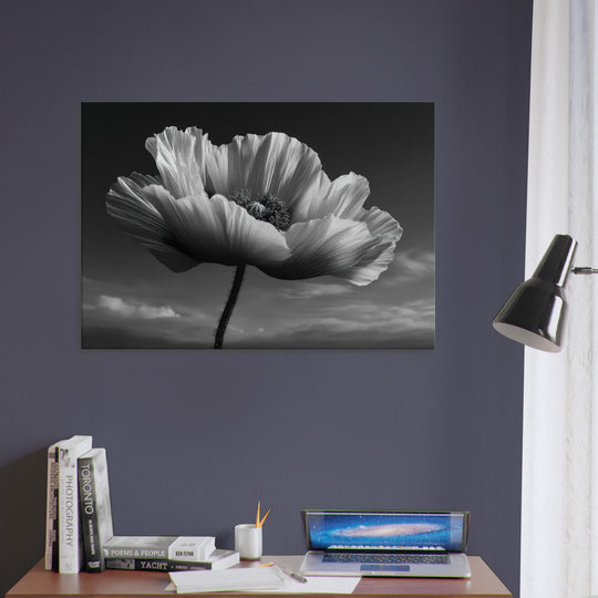 01c36a20-9d45-4ce1-8481-ed10ea3f05f6