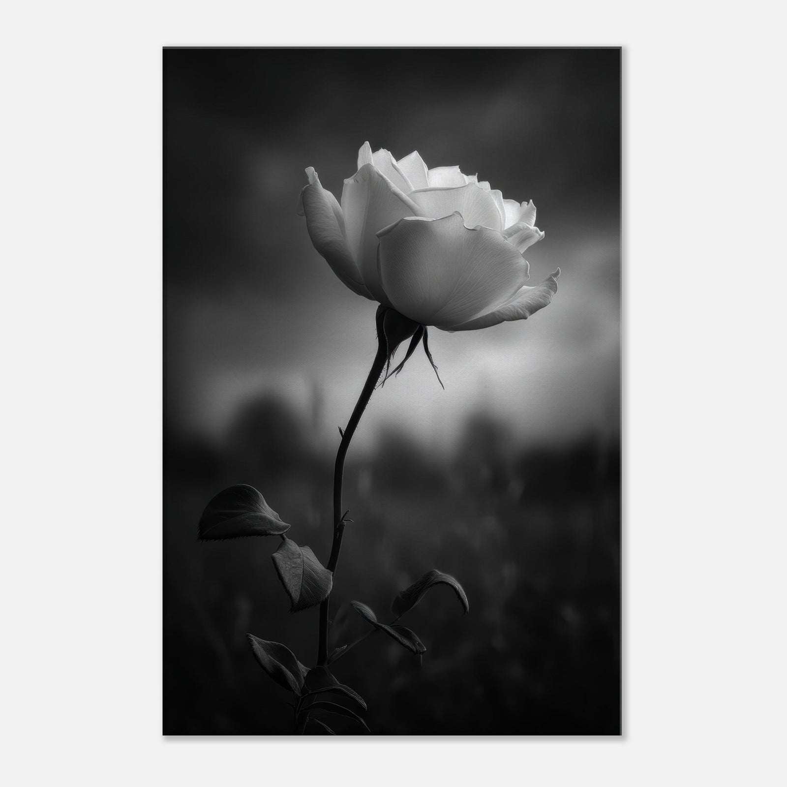 03452ab6-bc5c-4898-b158-9d9977570030