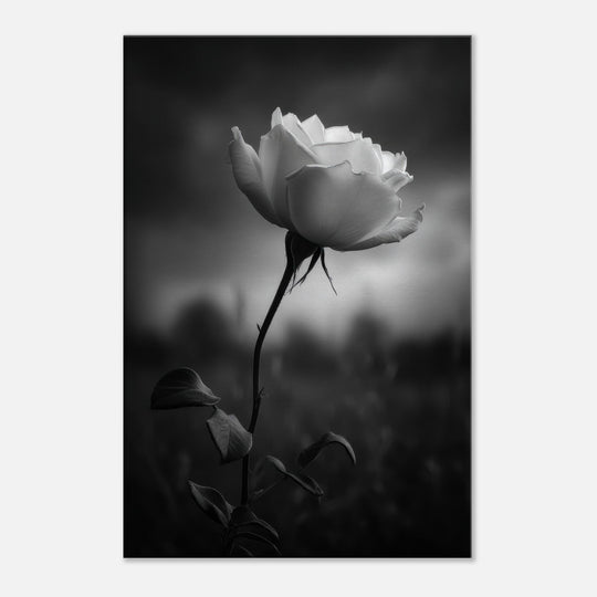 03452ab6-bc5c-4898-b158-9d9977570030