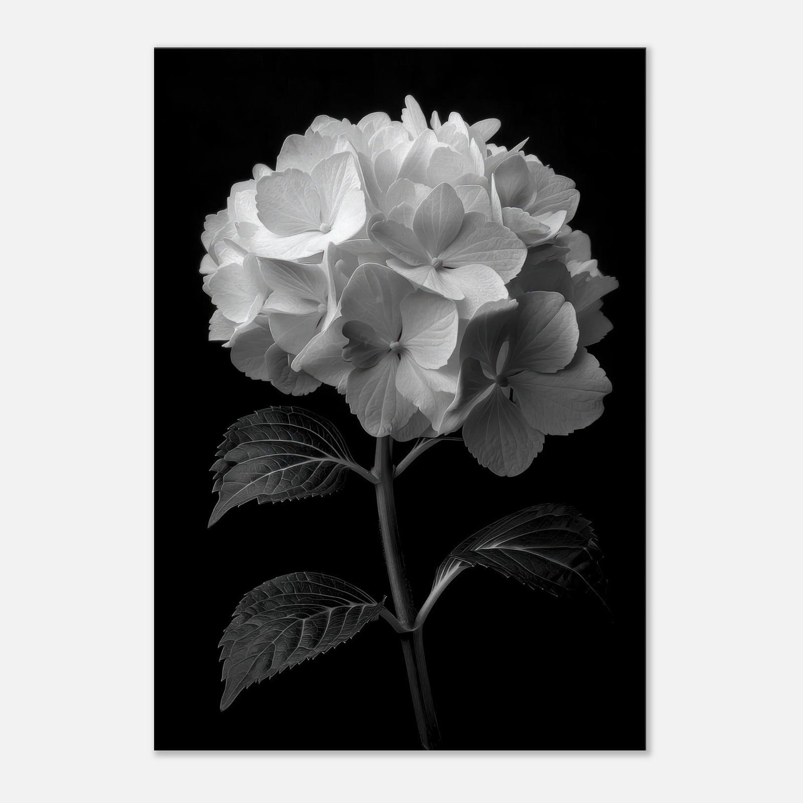 03a79b89-371e-4ea8-b147-449507642e4c