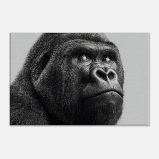 04684ab2-4319-4c27-b393-2fcb549074b3