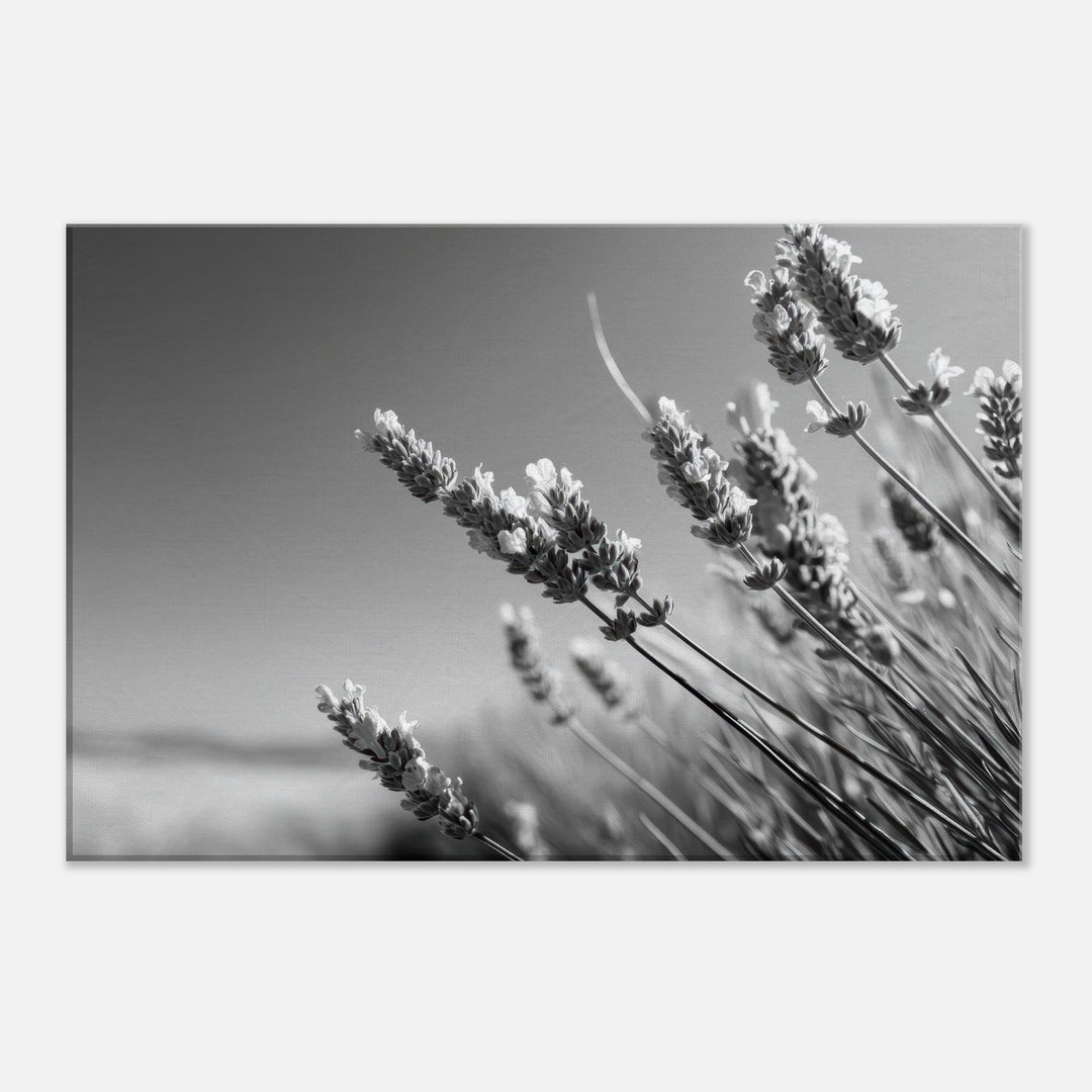 04bc2570-4808-4660-b469-020b444defdd