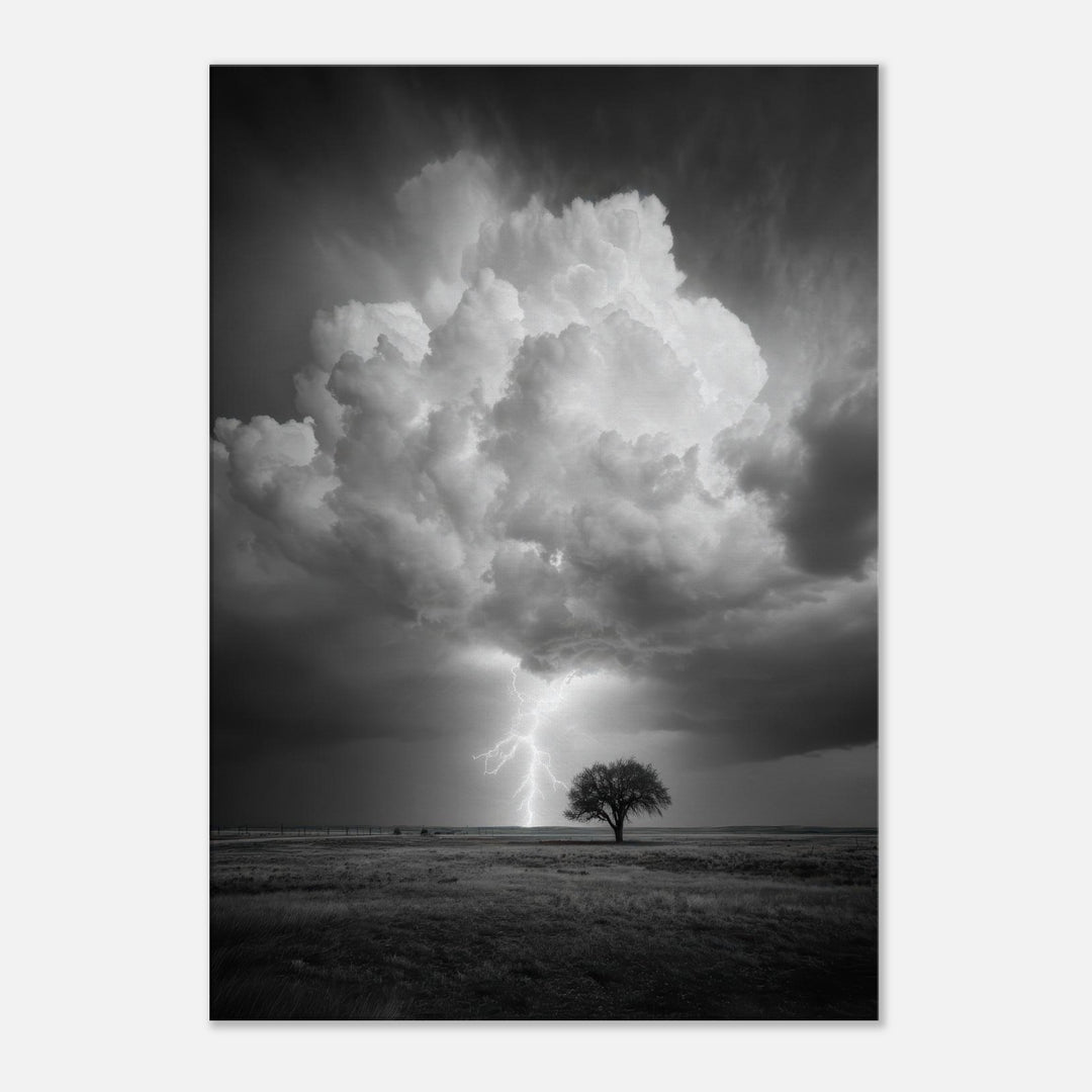 05a929ad-c4fe-44cf-8ef8-d885b3ecf349