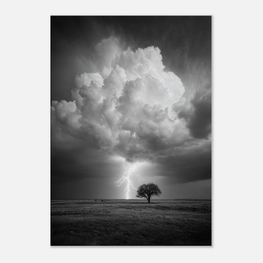 05a929ad-c4fe-44cf-8ef8-d885b3ecf349