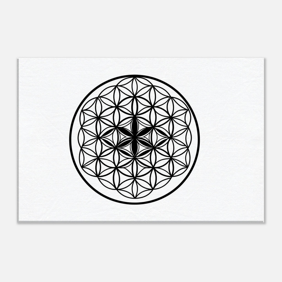 05d64ffb-da10-43df-93b4-cda12c662063