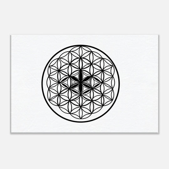 05d64ffb-da10-43df-93b4-cda12c662063