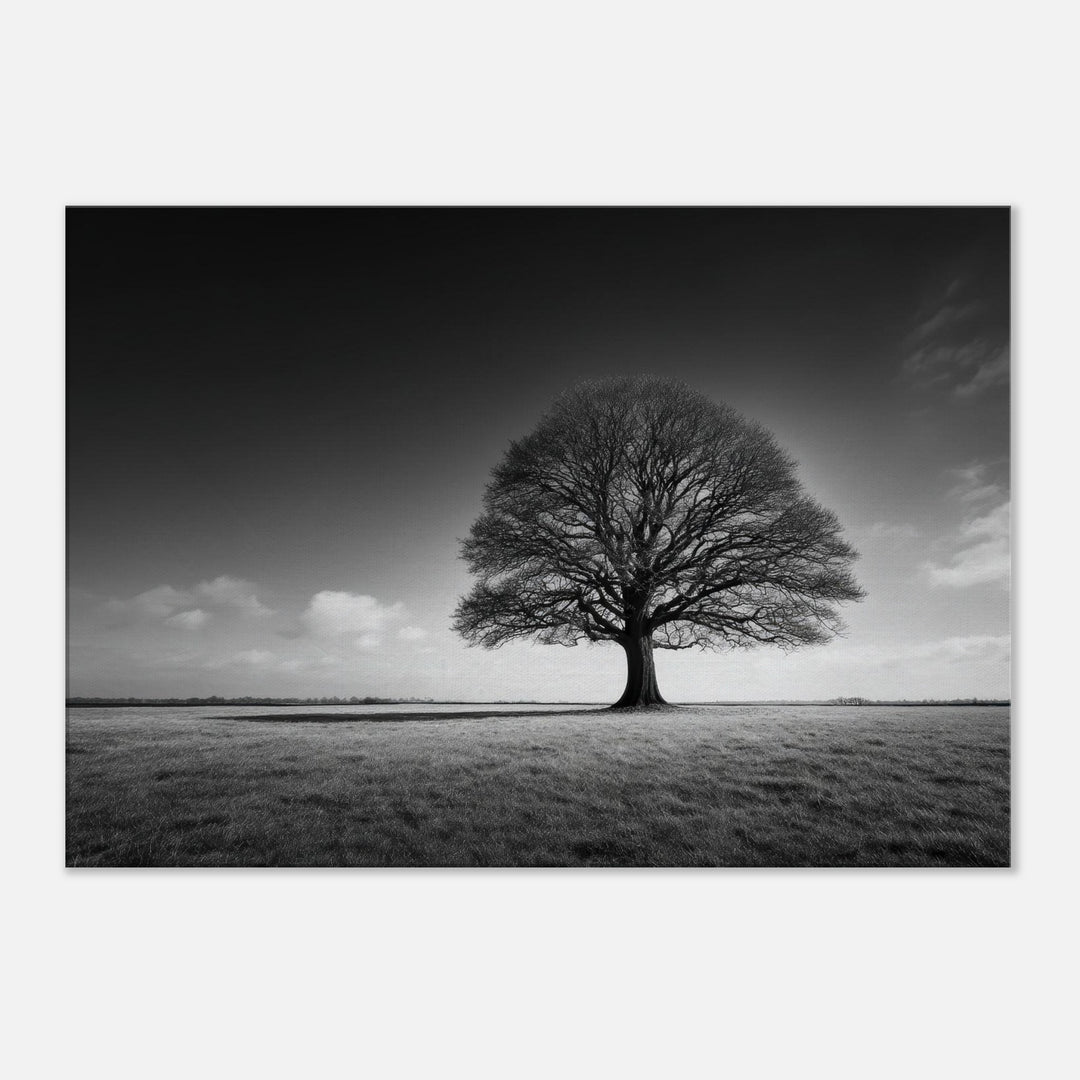 06737b46-5885-47cb-b150-0b5a797f9fa2