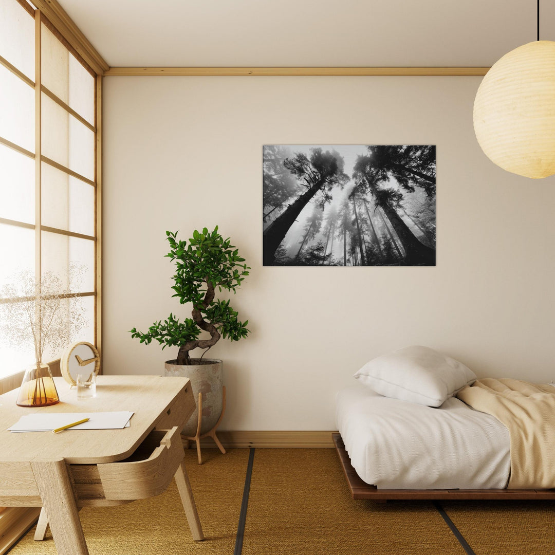 07520a65-475f-4229-a5aa-cb9026d06020