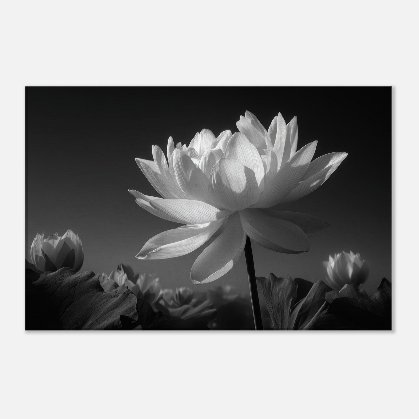 0796b6d6-ce4d-4bbb-981a-3265a84d109c