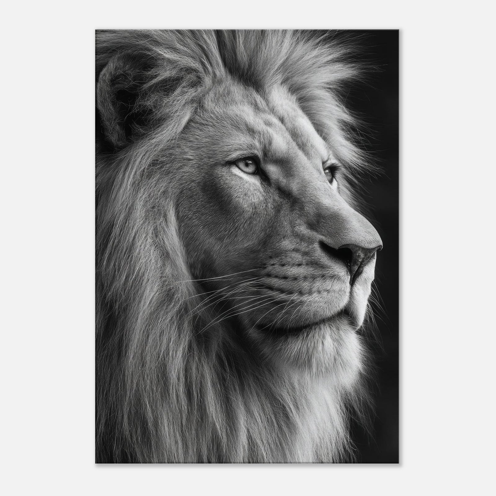 0869537b-368f-4458-a4de-3dd391fc4b9f