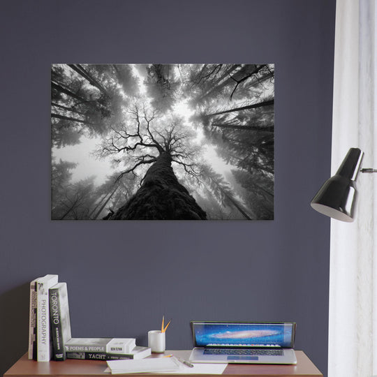 0882a45e-e750-4d07-87d6-0a6c44e0443c