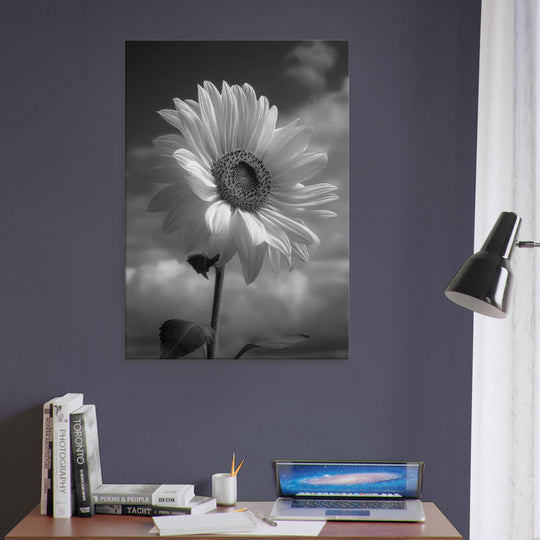 09a5e112-20cc-4944-8363-75f27d865594