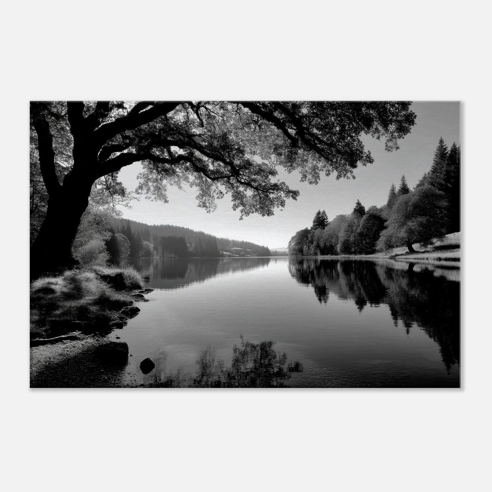 0a2da8e4-bf9c-4436-90ee-a875f8558ff0