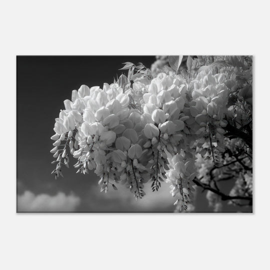 0aece116-5363-4be5-9064-41d0fb3e458a