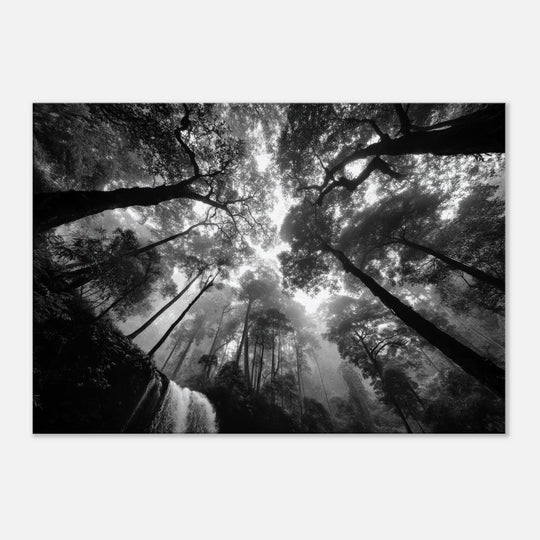 0b118a46-589b-4153-be73-c5965f8ffd2f