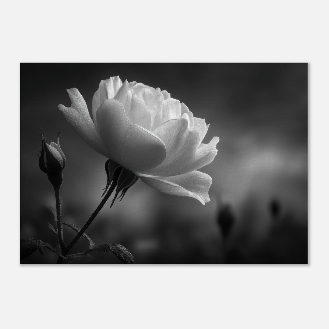 0b217865-949d-40b8-afa7-4c51476b281c