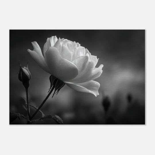 0b217865-949d-40b8-afa7-4c51476b281c