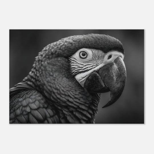 0b7d248b-ad92-44c1-a93f-5597127a5e96