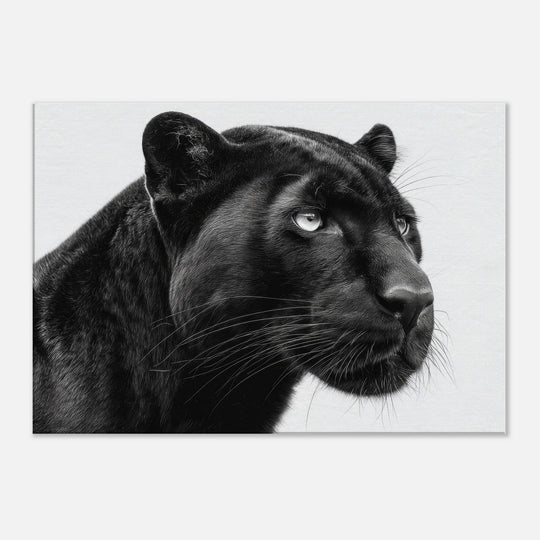 0c1b486a-f949-491e-a80f-38ab5a6ac040