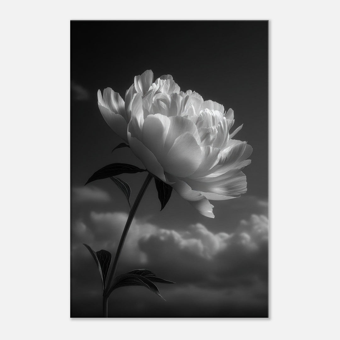 0c57248b-c21e-45b2-9237-2c69fc41557c