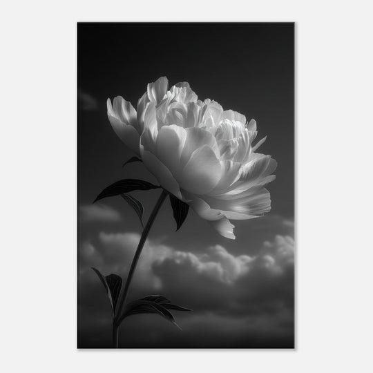 0c57248b-c21e-45b2-9237-2c69fc41557c