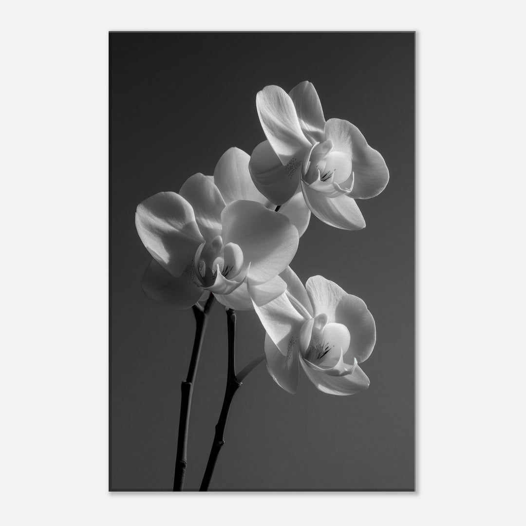 0c6f8376-3e10-4328-8997-ce215a872e6a