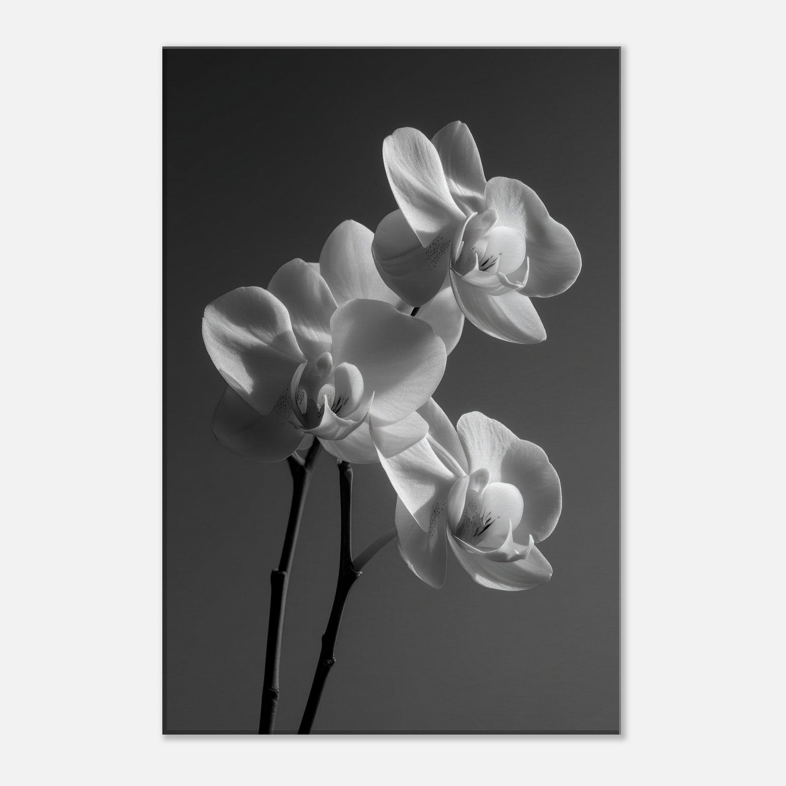 0c6f8376-3e10-4328-8997-ce215a872e6a