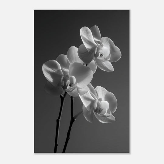 0c6f8376-3e10-4328-8997-ce215a872e6a