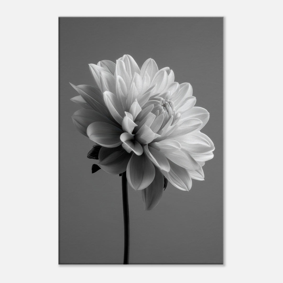 0d080b16-ac22-49eb-94fb-cc319c9aac85