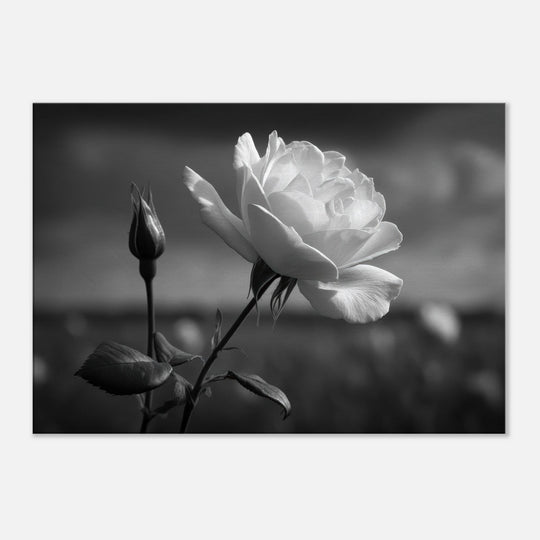 0d0ff6ad-fba7-4fdb-82c2-b6173c72b279