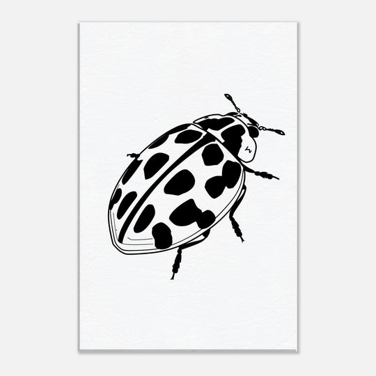 0d52c5c3-ddb8-48c1-8350-267a7b93f86f