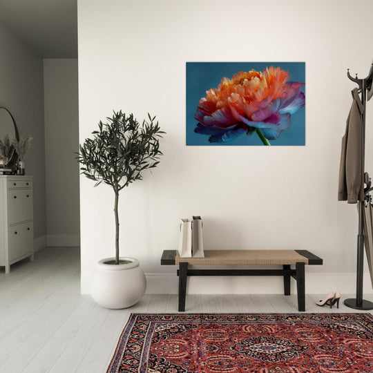 0d55140d-a124-467d-a448-f40b75d63531