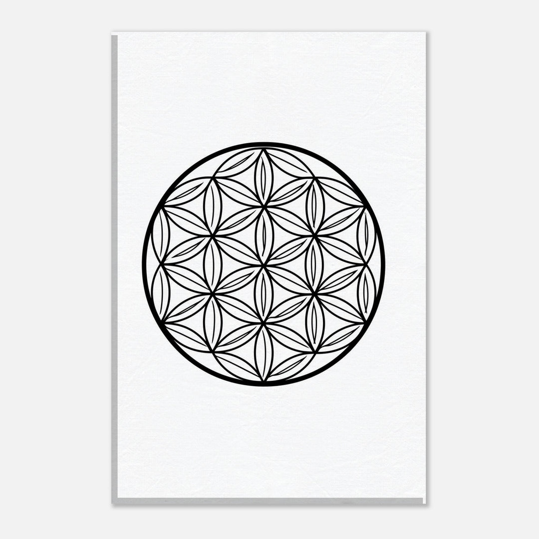 0d9f22a4-1beb-4f2f-81dd-c8e1dba28c49