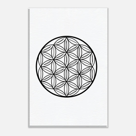 0d9f22a4-1beb-4f2f-81dd-c8e1dba28c49