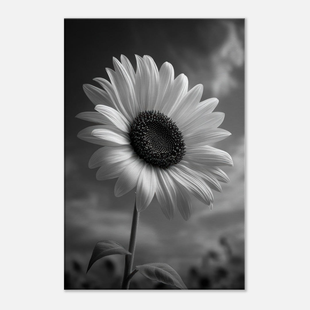 0db3056b-f2d8-48f6-b8b3-d9c0d2f92ee4