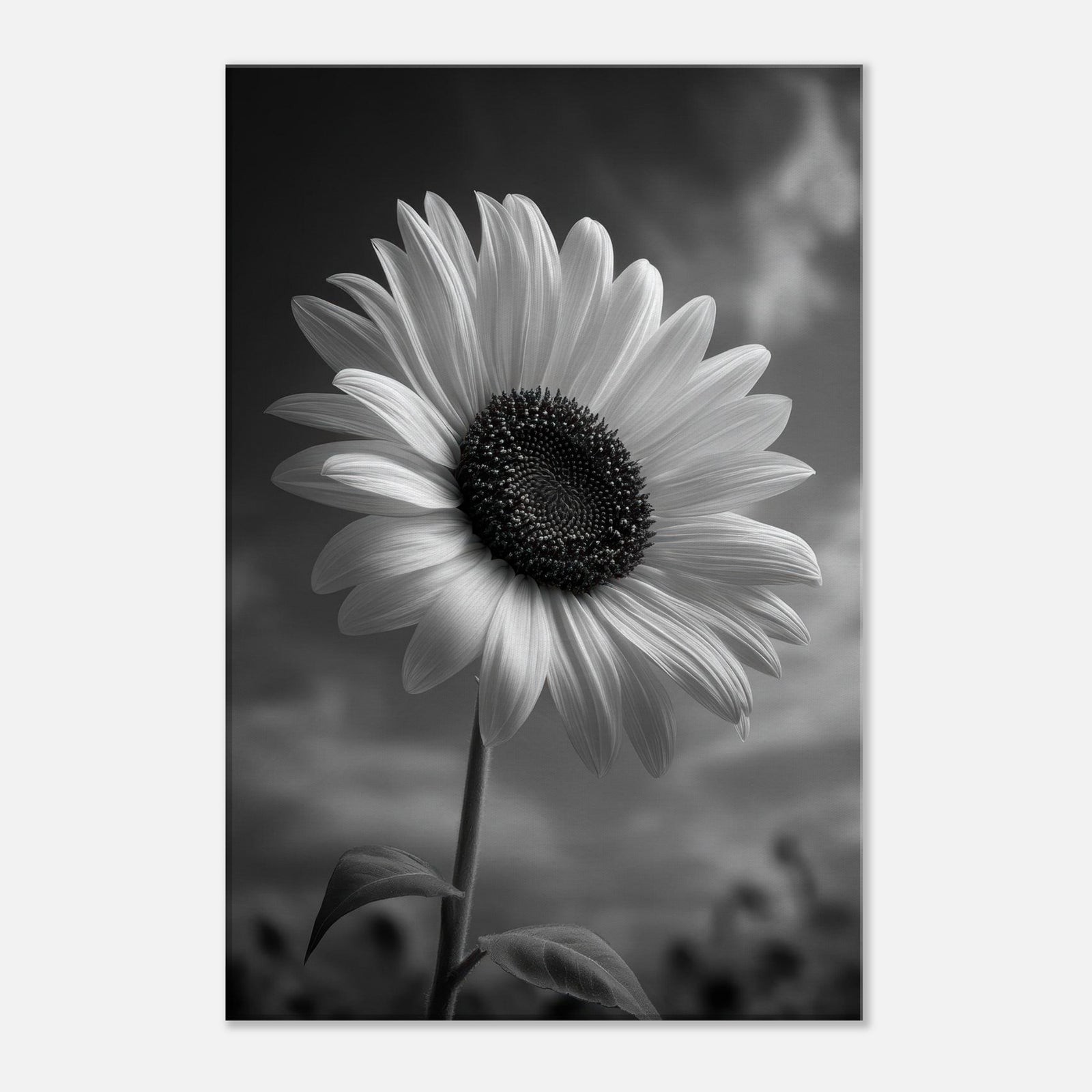 0db3056b-f2d8-48f6-b8b3-d9c0d2f92ee4