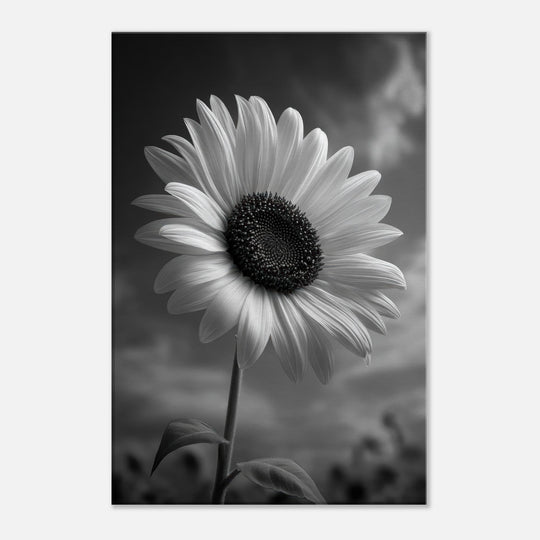 0db3056b-f2d8-48f6-b8b3-d9c0d2f92ee4