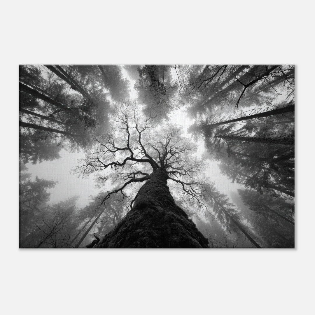 0dcecb43-3f8b-4fa8-be4d-ebb106efbb93