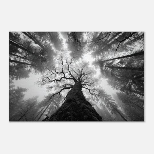 0dcecb43-3f8b-4fa8-be4d-ebb106efbb93