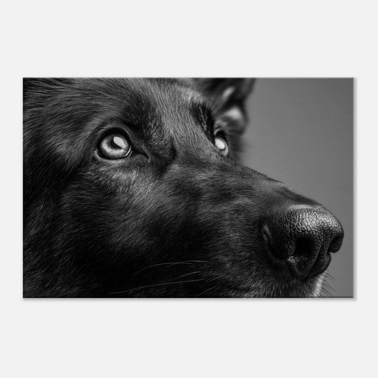 0eb2edac-beeb-48a3-8ffb-3f745a914046