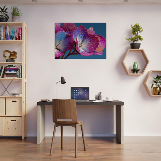 0edc8117-2d93-428f-82aa-cc2d260a4395