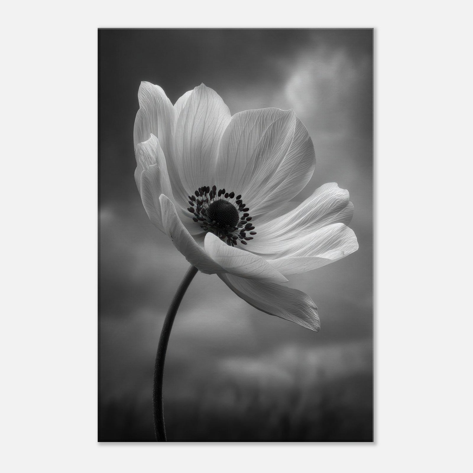 0fb12d0c-2f9a-4781-a4ea-7ca0feddfb47