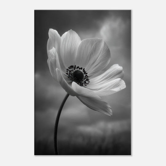 0fb12d0c-2f9a-4781-a4ea-7ca0feddfb47