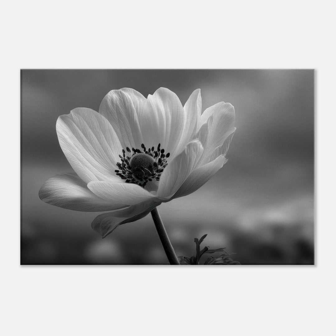 0fc8ca21-2e39-4d7c-a0ea-8c7a6aa61824